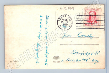 Pohlednice lilie Československo 1958 černobílá (M12199)