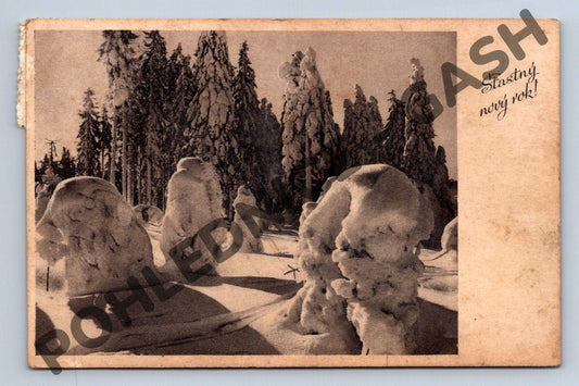 Pohlednice Šťastný nový rok – ČSR 1920 (M1220)