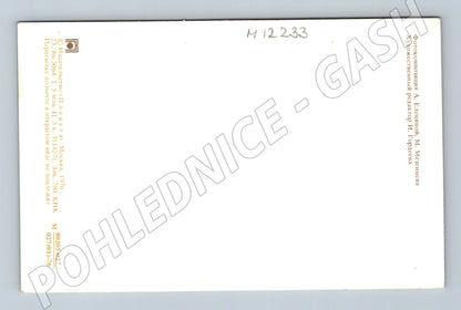 Pohlednice Květiny v košíku SSSR 1976 (M12233)