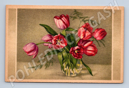 Pohlednice Zátiší s tulipány (M12244)