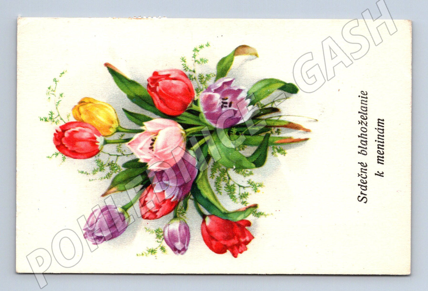 Pohlednice k meninám tulipány Slovensko (M12246)