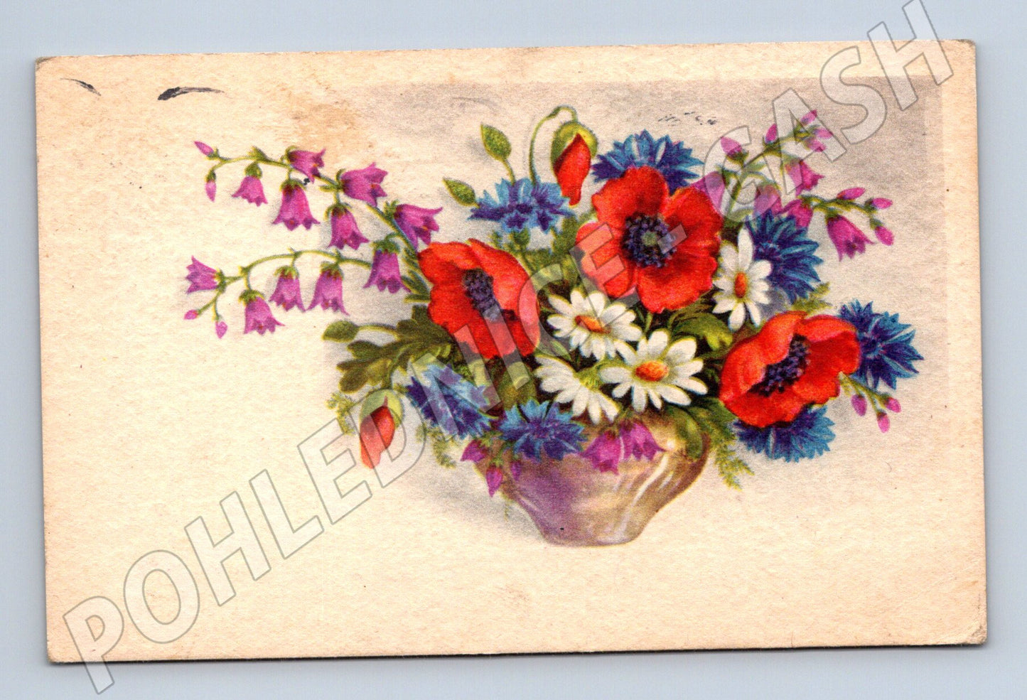 Pohlednice Starý pohled květiny (M12291)