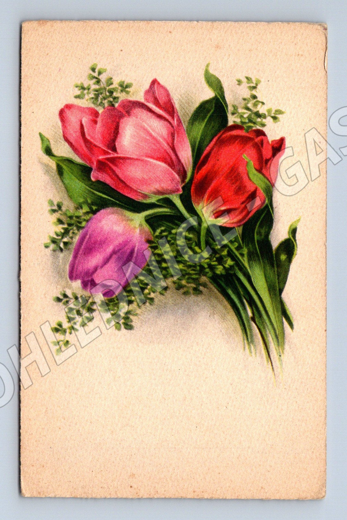 Pohlednice Kytice tulipánů Barevná ilustrace (M12312)
