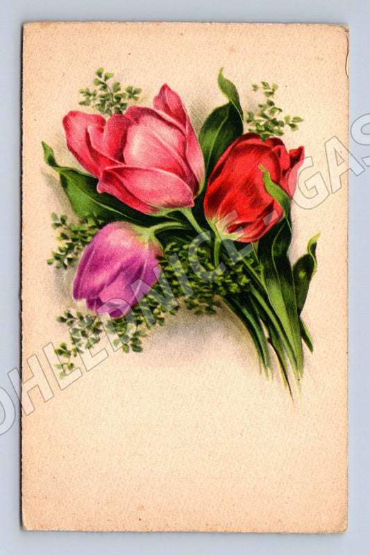 Pohlednice Kytice tulipánů Barevná ilustrace (M12312)
