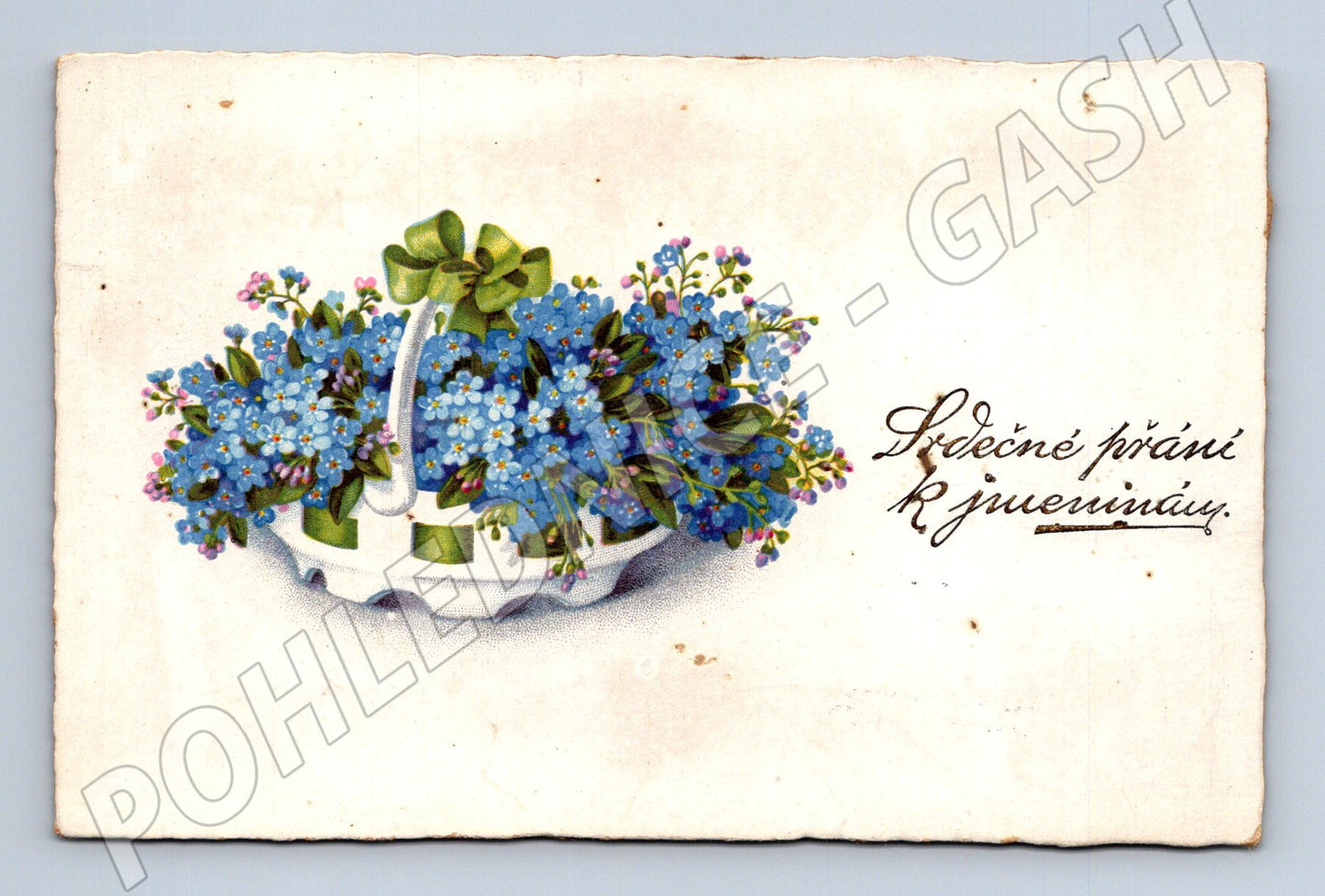 Pohlednice Jmeninová s pomněnkami (M12335)