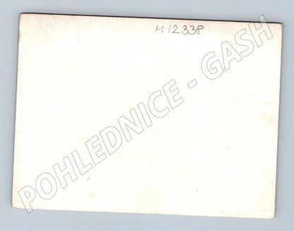 Pohlednice Květinový motiv s německým textem (M12338)
