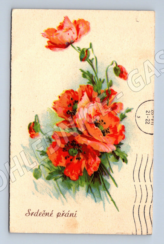 Pohlednice květiny vlčí máky (M12384)