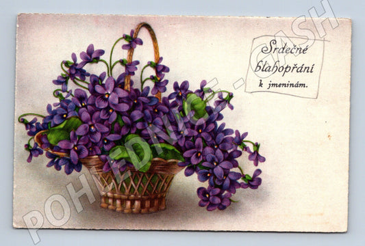 Pohlednice Fialky blahopřání k jmeninám (M12386)