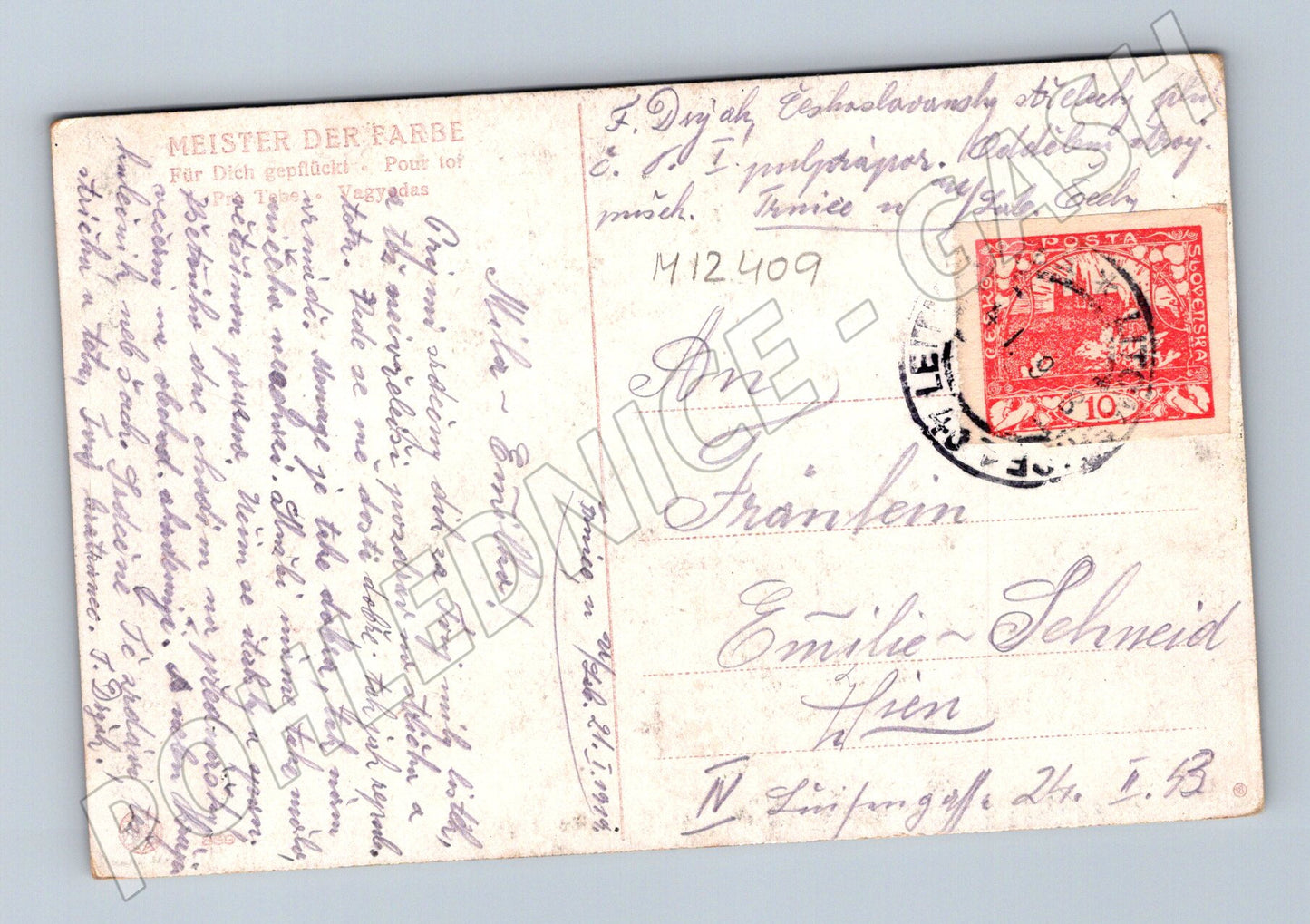 Pohlednice Dívka s květinami, prošlá poštou (M12409)