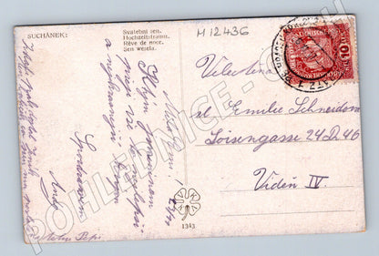 Pohlednice Starý svatební pohled Svatobní sen (M12436)