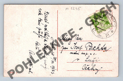 Pohlednice Vánoce jehličnan a šišky ručně psaná 1923 (M1245)