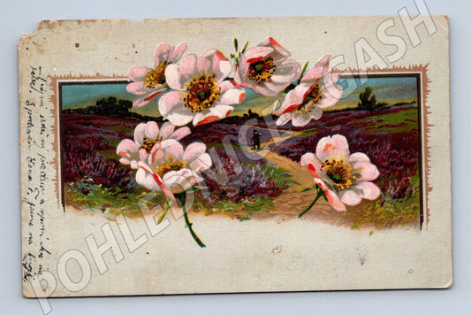 Pohlednice květiny a krajina (M12506)