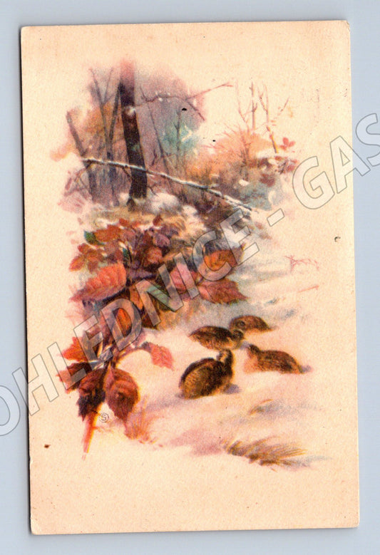 Pohlednice Starobylá pohlednice – květiny (M12516)