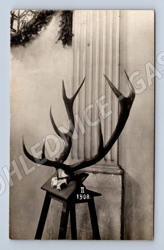 Pohlednice lovecká trofej – paroží (M12543)