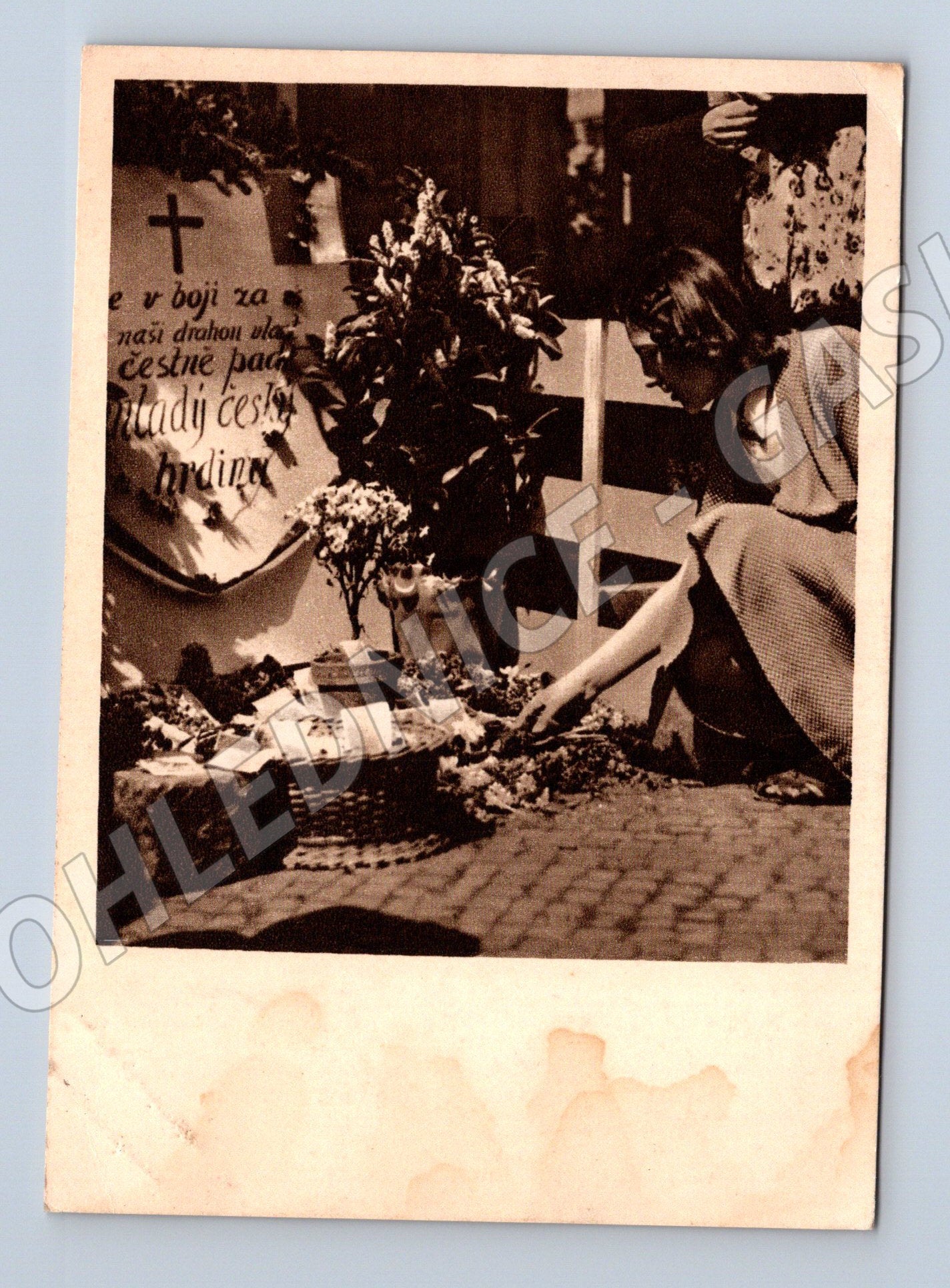 Pohlednice Rovy na dlažbě Květen 1945 (M12544)