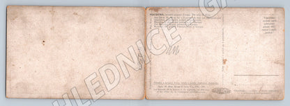 Pohlednice skalní stezka u hradu cca 1900 (M12569)