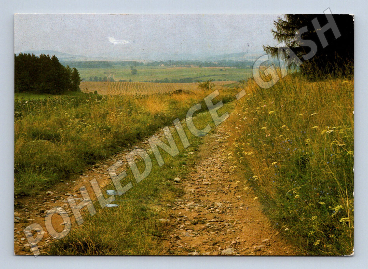Pohlednice česká krajina Jan Reich Pressfoto (M12576)