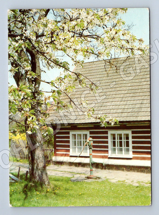 Pohlednice roubená chalupa jaro 1985 (M12577)