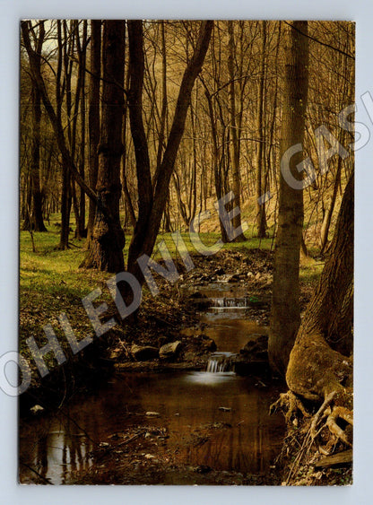 Pohlednice les a potok Československo 1984 (M12583)