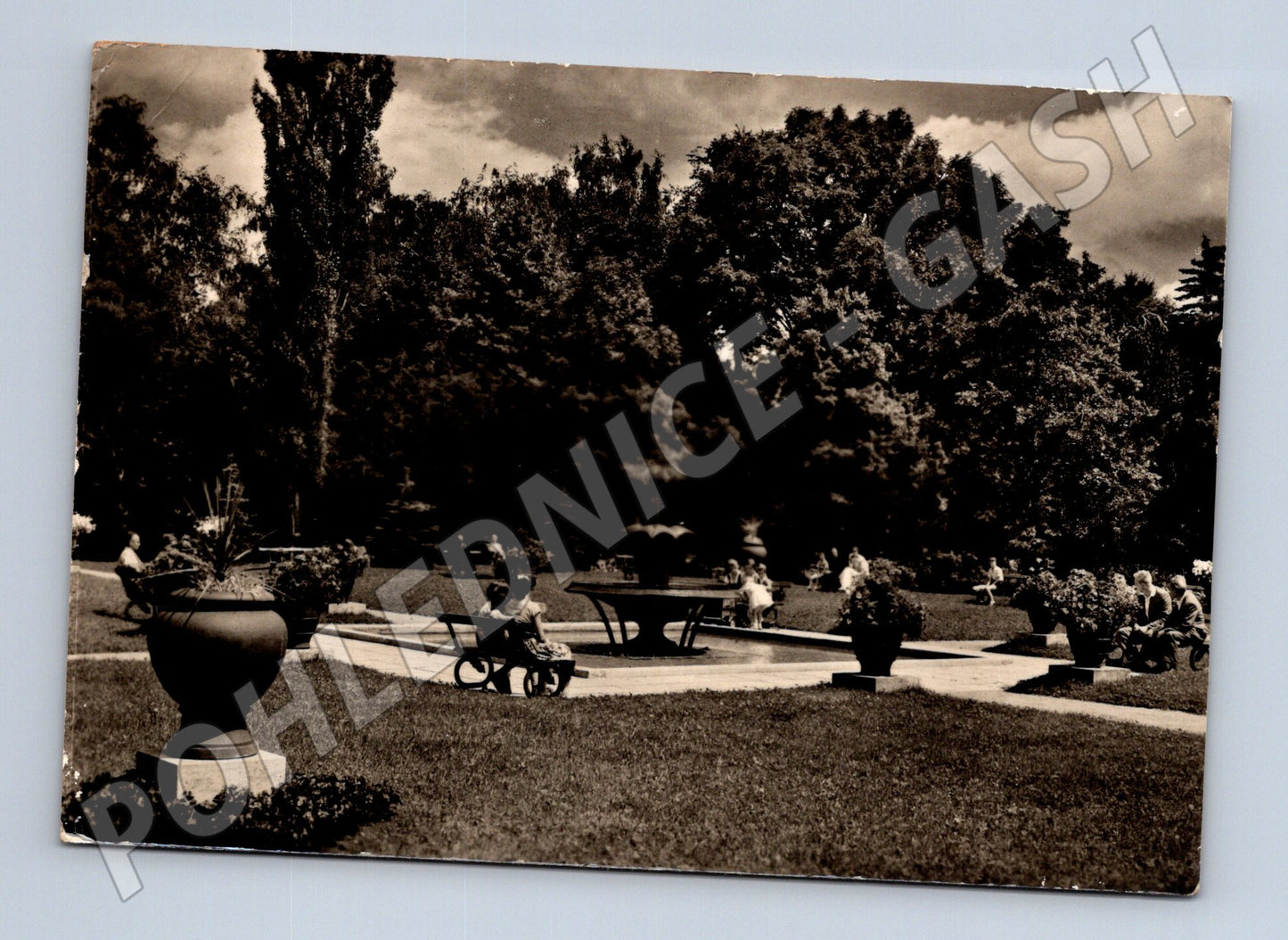 Pohlednice Poděbrady lázeňský park (M12615)