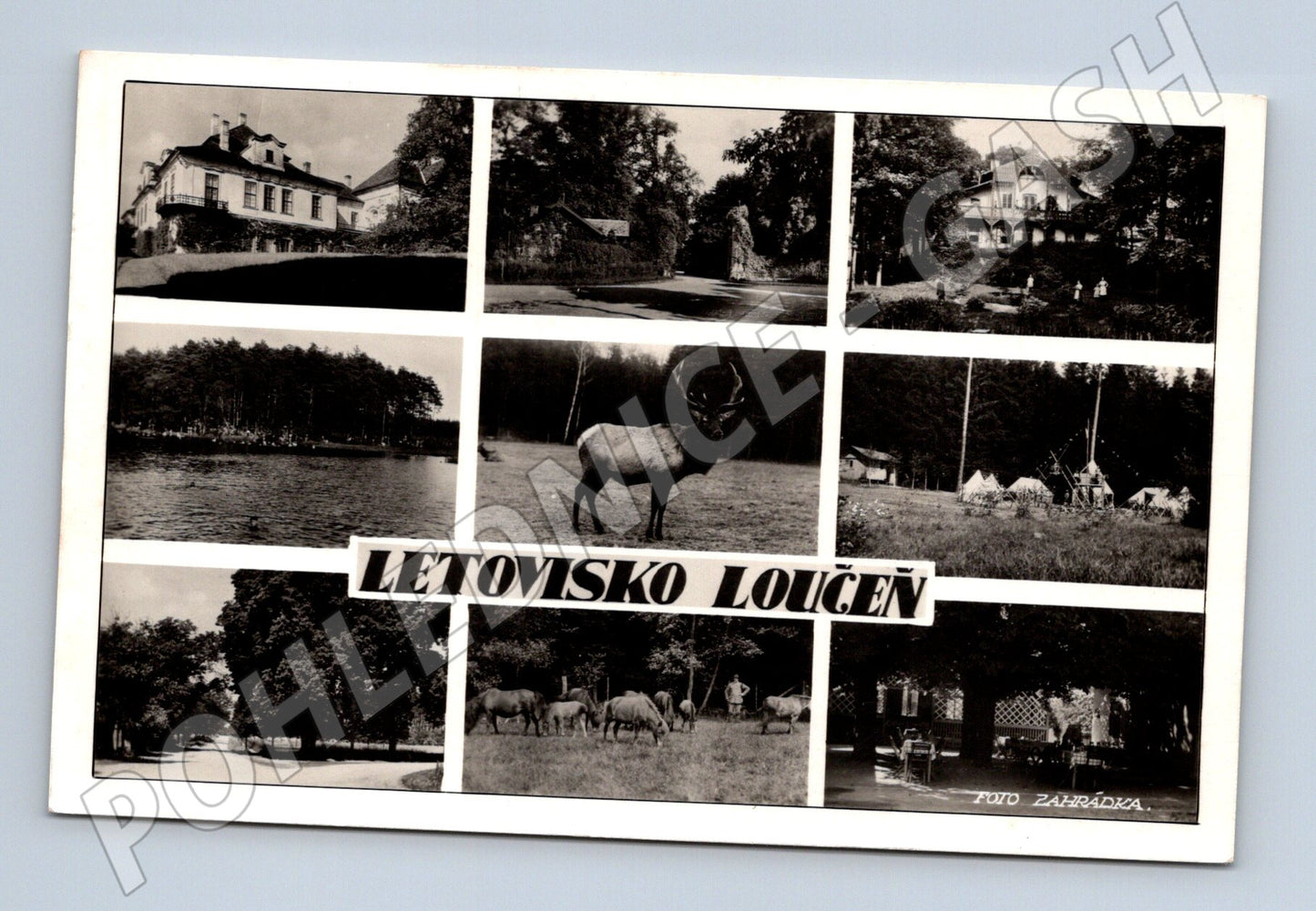 Pohlednice Loučeň letovisko koláž (M12666)