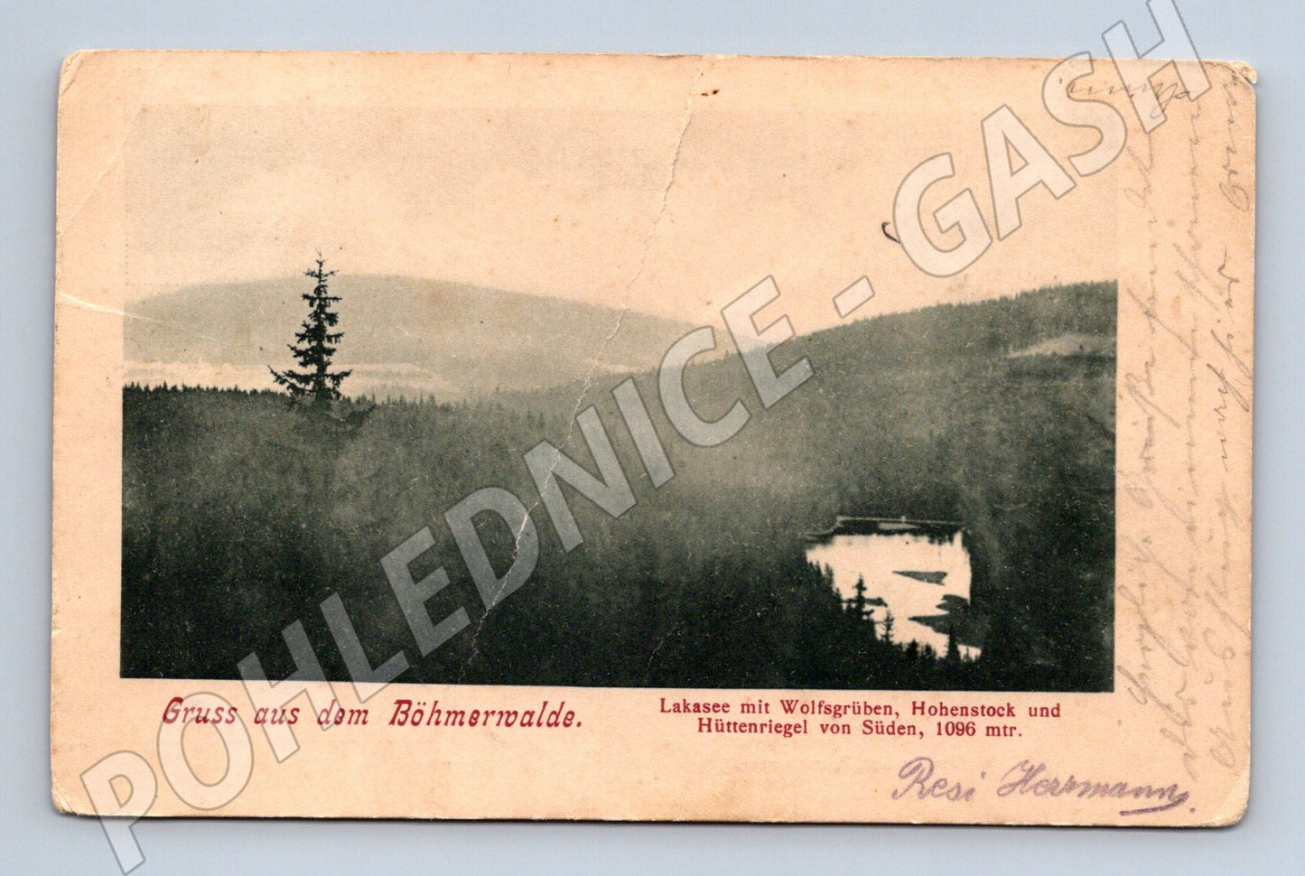 Pohlednice Šumava Laka jezero Böhmerwald (M12719)