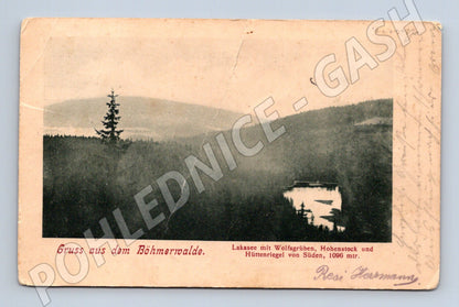 Pohlednice Šumava Laka jezero Böhmerwald (M12719)
