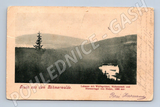 Pohlednice Šumava Laka jezero Böhmerwald (M12719)