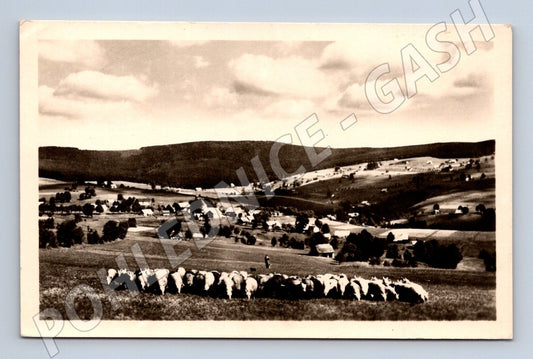 Pohlednice Orlické hory Říčky u Rokytnice 1951 malý formát (M12784)