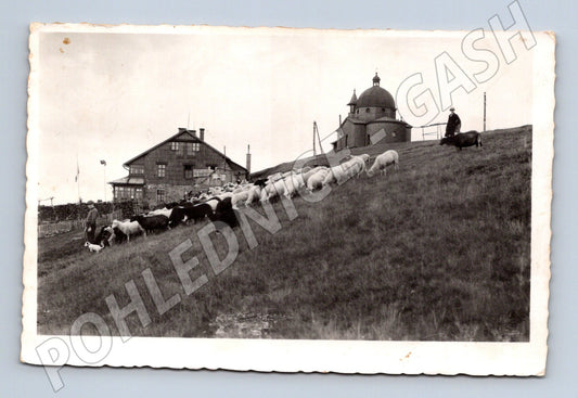 Pohlednice Radhošť kaple sv. Cyrila a Metoděje ovce 1938 (M12787)