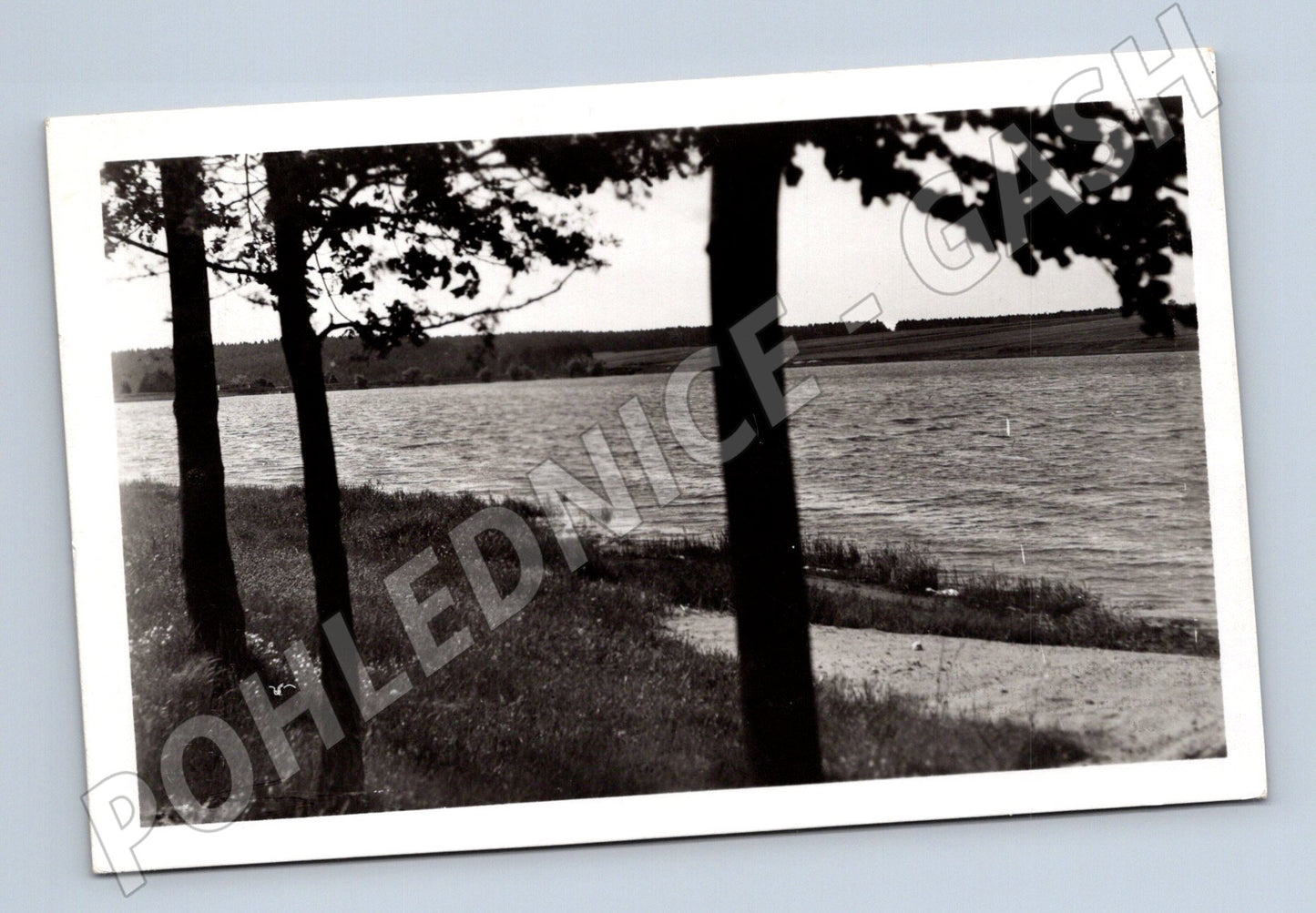 Pohlednice Vlkov rybník Dolňák Vysočina  1. pol. 20. stol. (M12816)