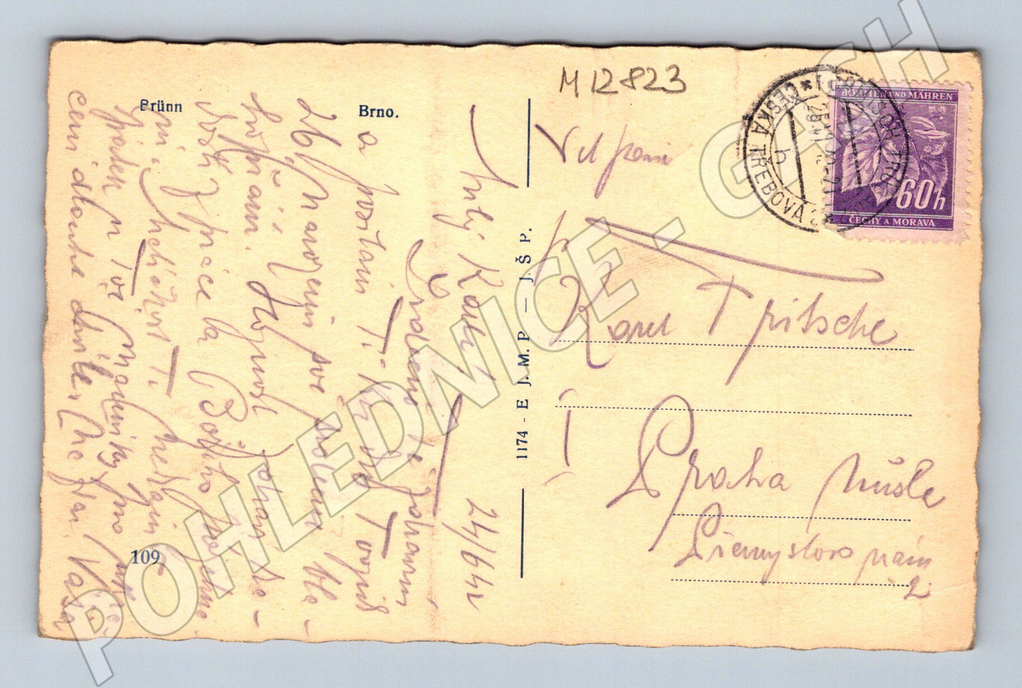 Pohlednice Katedrála sv. Petra a Pavla Brno (M12823)