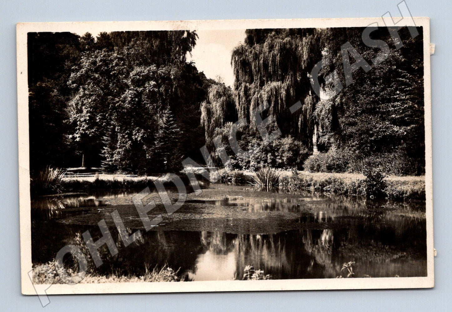 Pohlednice M12832 Mšene Lázně – Partie u rybníčku (1938)