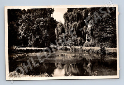 Pohlednice M12832 Mšene Lázně – Partie u rybníčku (1938)