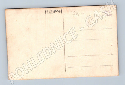 Pohlednice Ratibořice pomník Boženy Němcové 1932 (M12891)