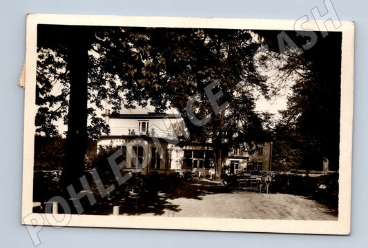 Pohlednice Rychnov nad Kněžnou letovisko Studánka 1952 (M12895)