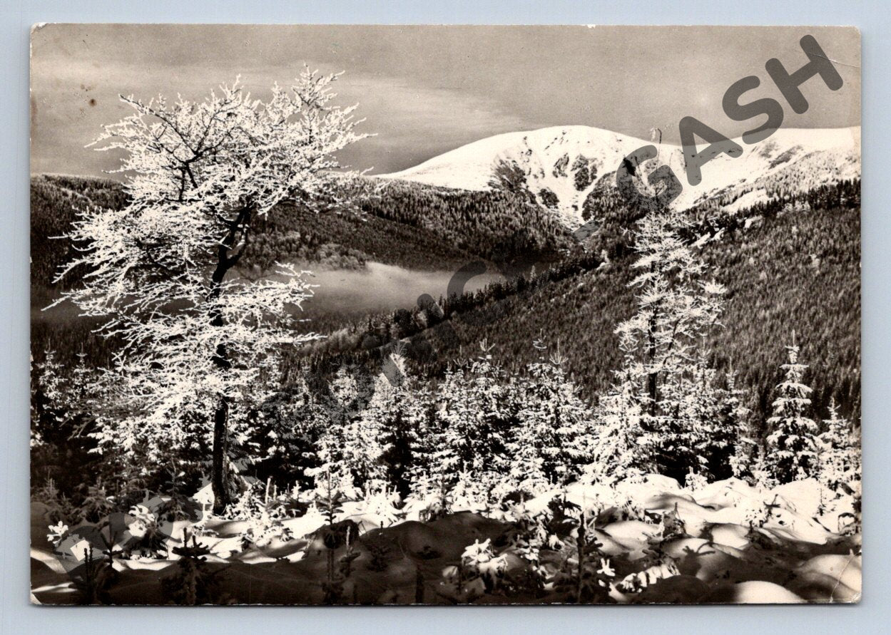 Pohlednice Krkonoše Kotel zasněžená krajina (M129)