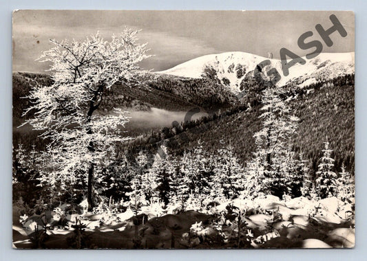 Pohlednice Krkonoše Kotel zasněžená krajina (M129)