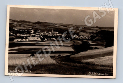 Pohlednice Olešnice na Moravě 1947 (M13050)