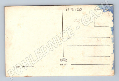 Pohlednice Pastevec s ovcemi na horské pastvině (M13120)