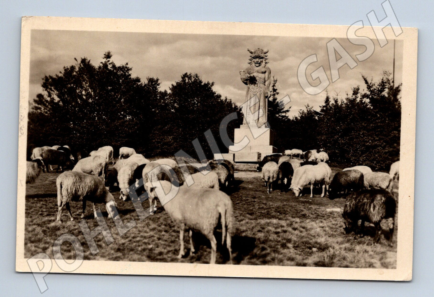 Pohlednice Radegast na Radhošti, stádo ovcí (M13130)
