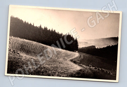 Pohlednice Česká krajina černobílá (M13131)