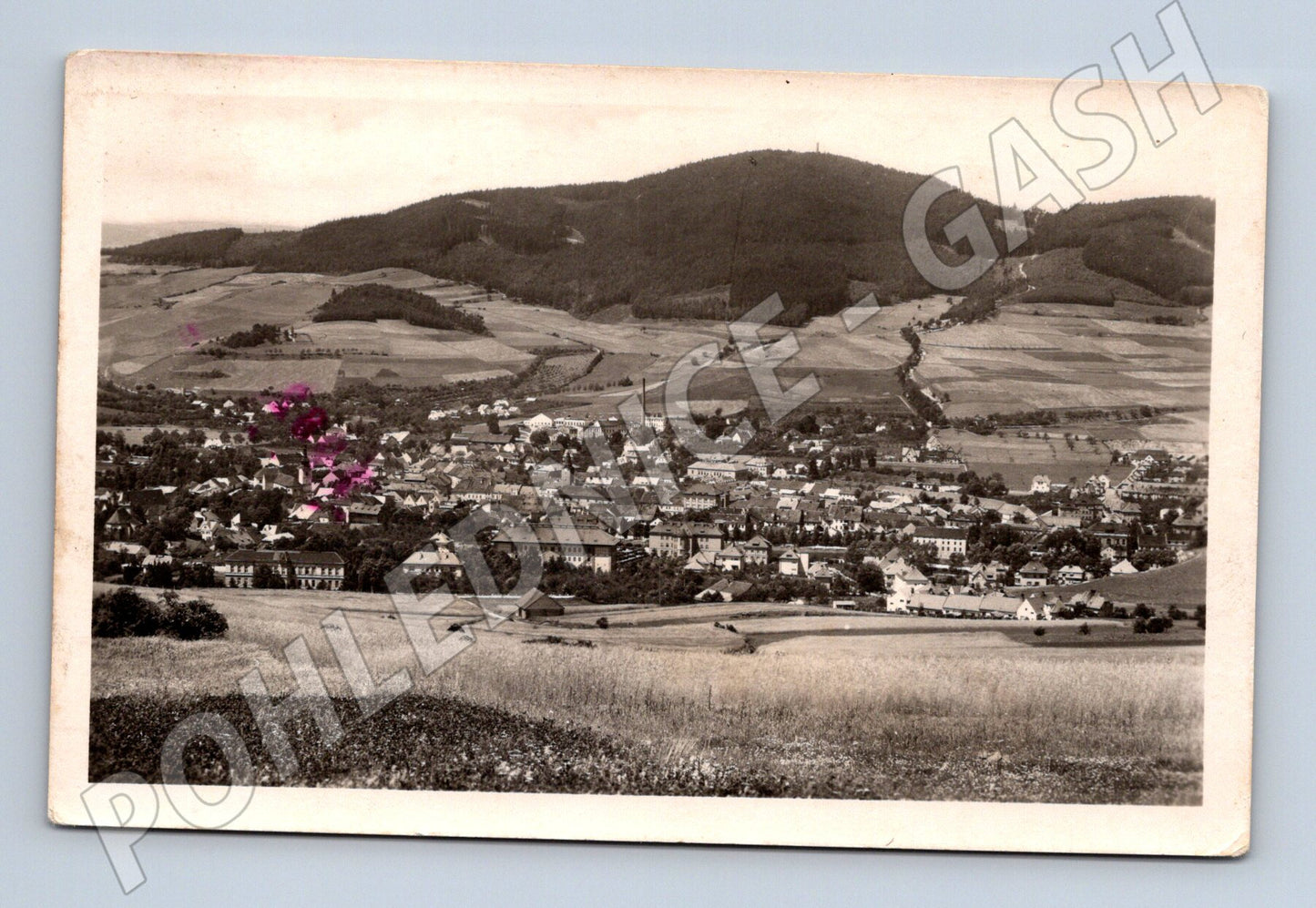 Pohlednice Sušice na Šumavě (M13187)