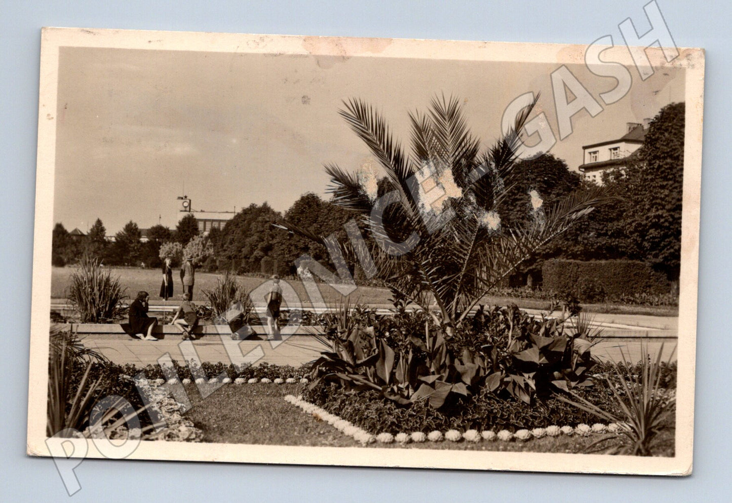 Pohlednice Poděbrady lázeňský park Stalingradské náměstí 1957 (M13192)