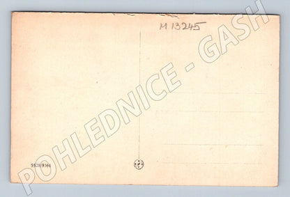 Pohlednice náměstí s kašnou historická ČR do 1950 (M13245)