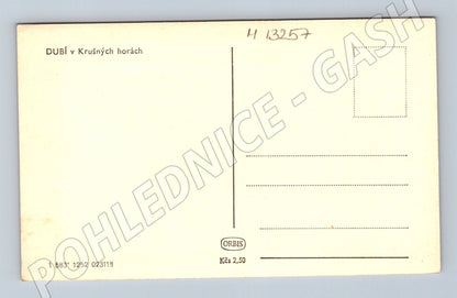 Pohlednice Dubí v Krušných horách historická (M13257)