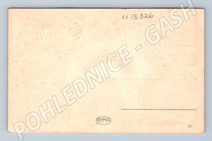 Pohlednice Karlovy Vary Waldandacht Karlsbad do 1950 (M13326)