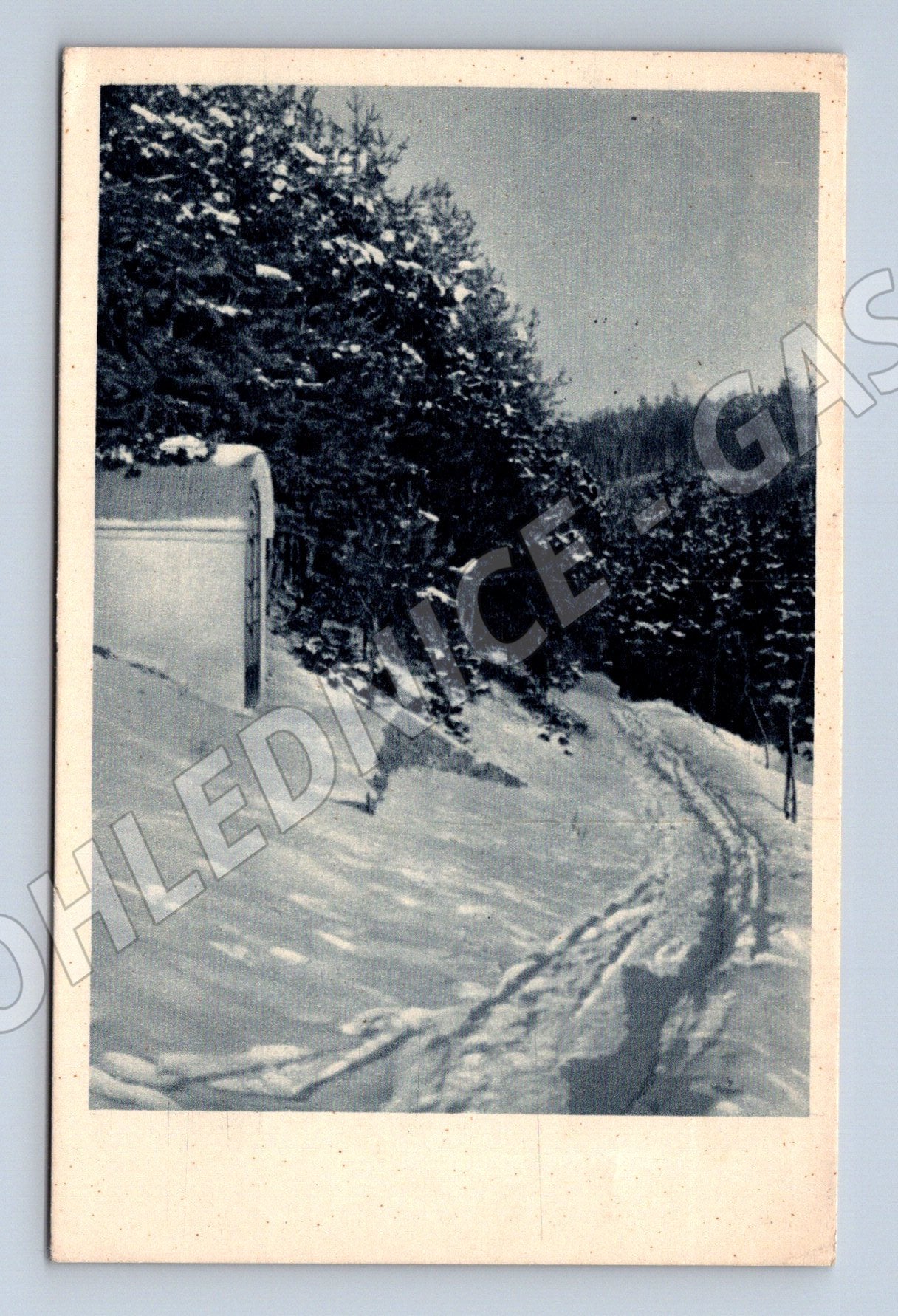Pohlednice zimní motiv Královo Pole ČR (M13333)
