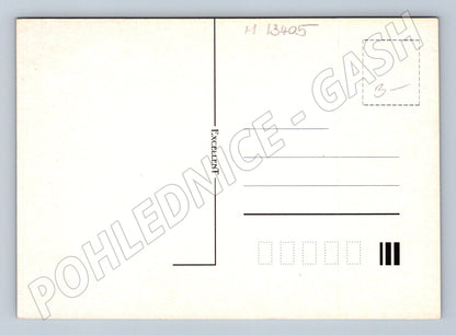 Pohlednice Disney Kačer Donald a synovci (M13405)