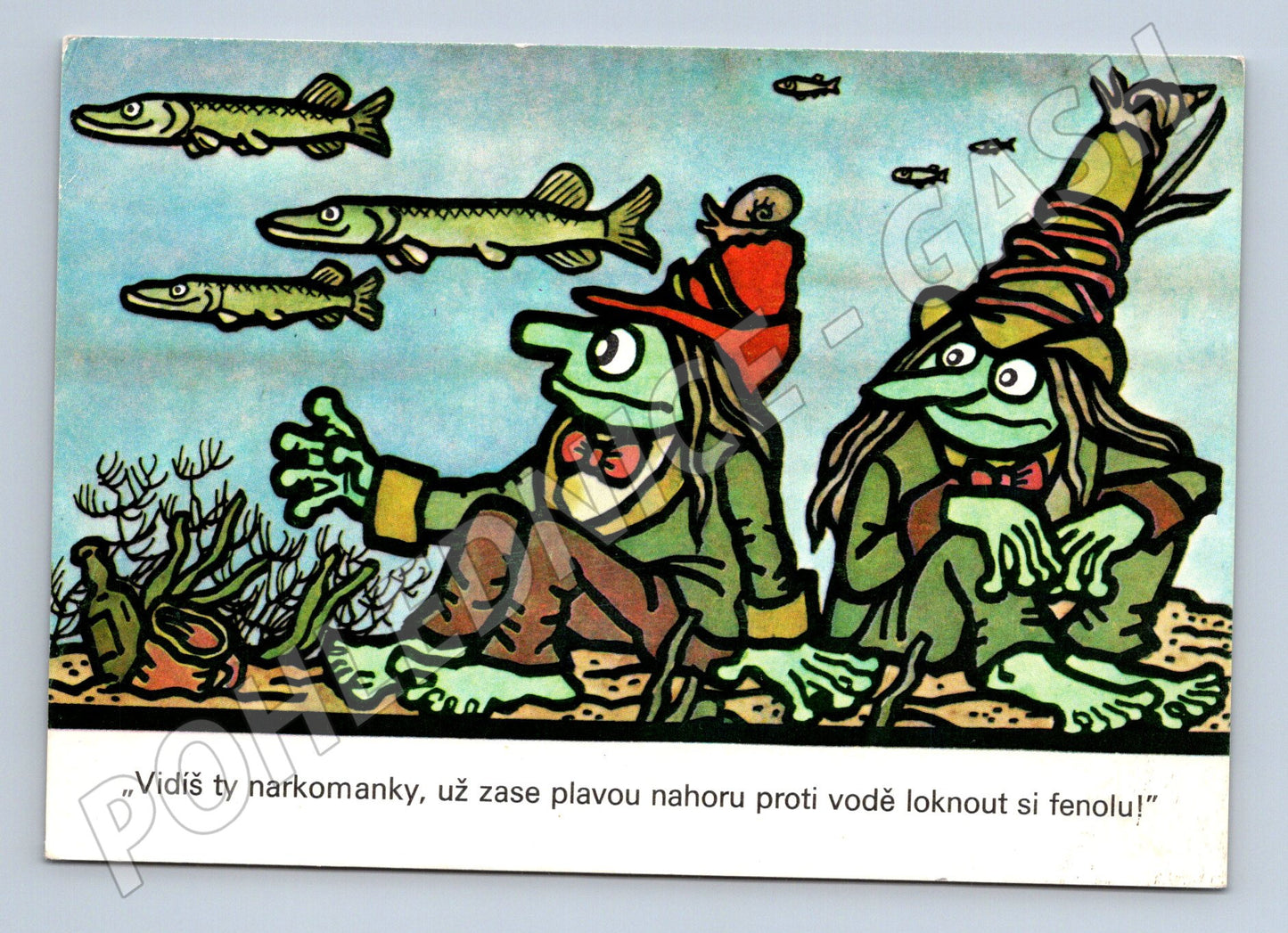Pohlednice Neprakta žáby humor (M13410)